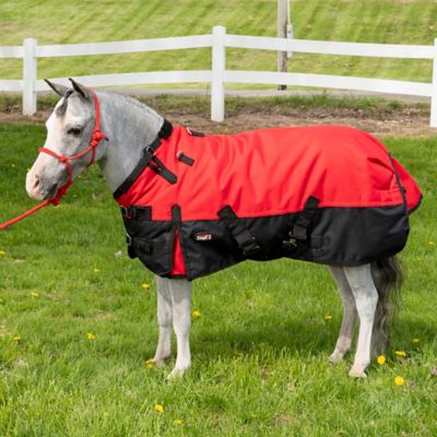 Image showing Tough1 250g/1200D Poly Miniature Waterproof Snuggit Horse Turnout Blanket