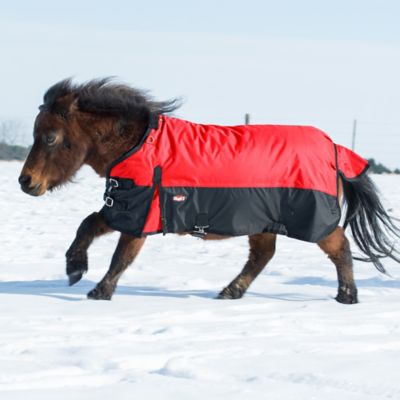 Image showing  600D Waterproof Poly Miniature Turnout Blanket