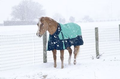 Image showing 3 th Tough1 300g/1200D Poly Waterproof Horse Turnout Blanket with Adjustable Snuggit Neck
