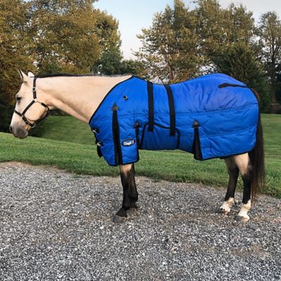 Image showing  600D Stable Blanket with Belly Wrap