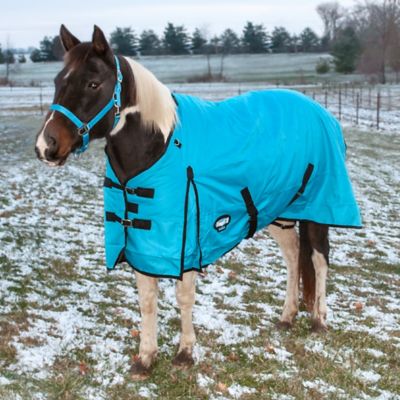 Image showing  Basics 200g/1200D Poly Waterproof Horse Turnout Blanket