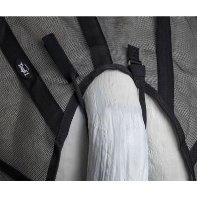 Image showing 5 th Tough1 Horse Fly Rump Sheet