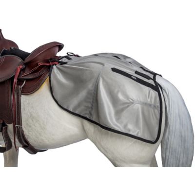 Image showing  Horse Fly Rump Sheet