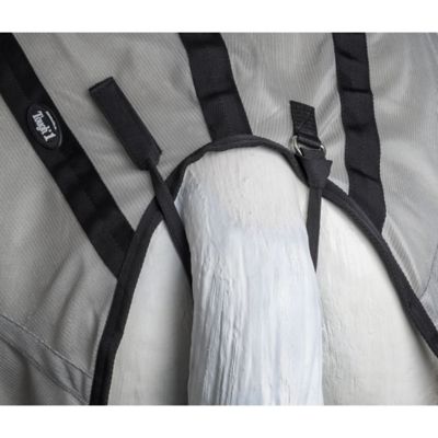 Image showing  Horse Fly Rump Sheet