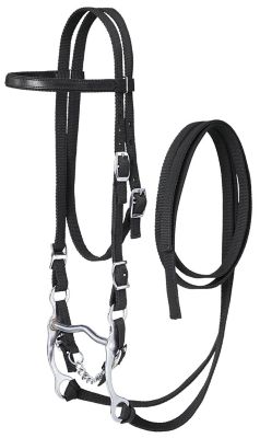 Image showing  Horse Nylon Browband Bridle