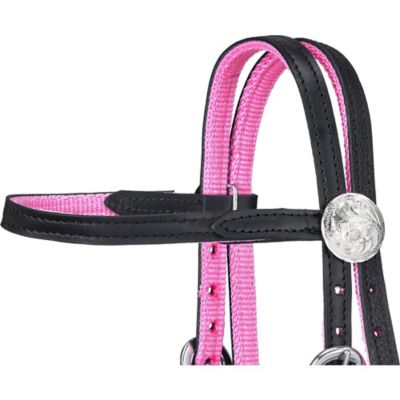 Image showing  Miniature Nylon with Leather Bridle