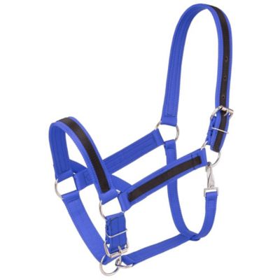 Image showing  Premium Nylon Draft Halter with Overlay