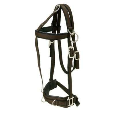 Tough1 Nylon Training Horse Lead Cavesson
