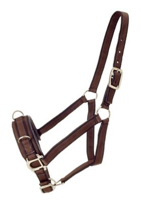 Tough1 Nylon Lunge Cavesson Horse Noseband