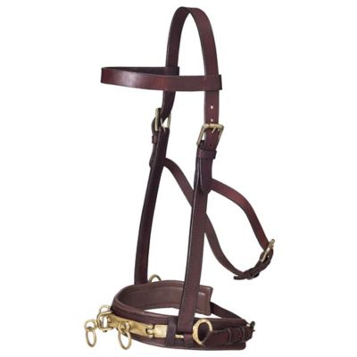 Tough-1 Leather Lunge Cavesson Horse Lead