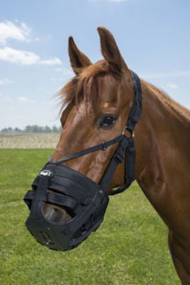 Image showing  Deluxe Easy Breathe V-Nose Horse Grazing Muzzle