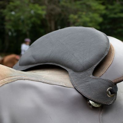 Image showing  Saddle Seat Size Reducer