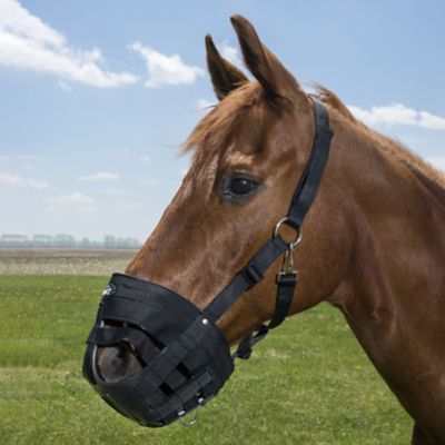 Image showing  Easy Breathe Grazing Horse Muzzle, Black, Large