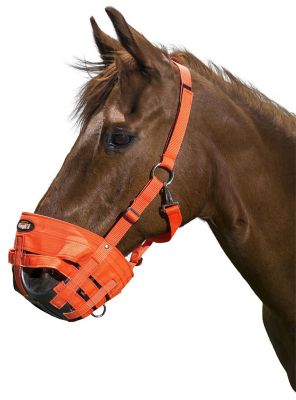 Image showing  Easy Breathe Grazing Horse Muzzle, Orange, Large Horse