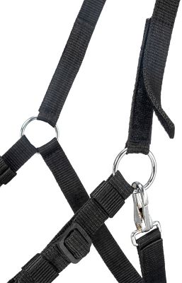 Image showing  Freedom Horse Grazing Muzzle with Headstall