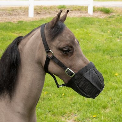 Image showing  Deluxe Mini Nylon Horse Grazing Muzzle