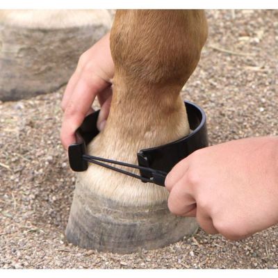 Image showing  Paw-Be-Gone Horse Ankle Bands, Large/Draft Horse, 2 pc.