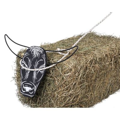 Image showing  Quick Release Steer Head