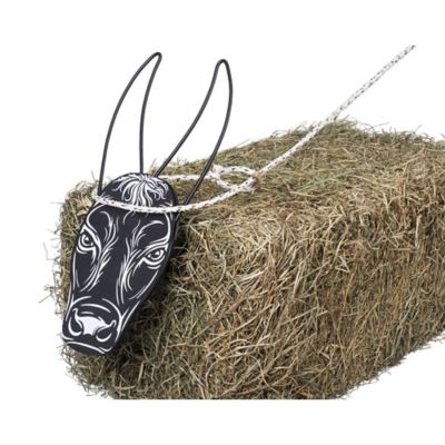 Image showing  Quick Release Steer Head