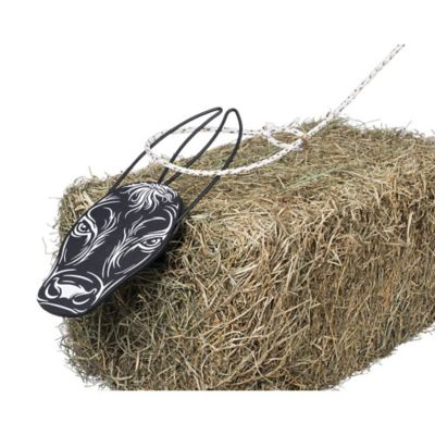 Image showing  Quick Release Steer Head