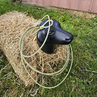 Image showing  Plastic Calf Head