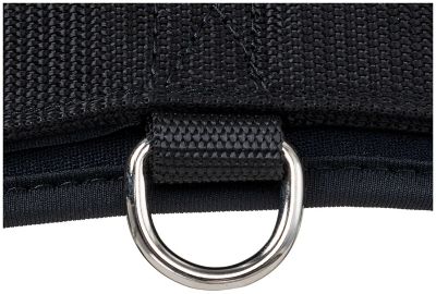 Image showing  Miniature Neoprene Girth