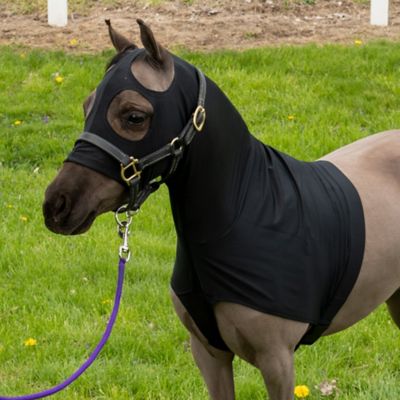 Image showing  Mini Lycra Mane Saver Hood, Large, Black