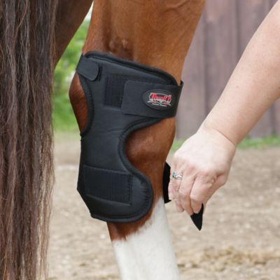 Image showing  Magnetic Horse Hock Boots, 2 ct.