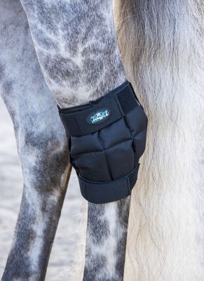 Image showing  Miniature Horse Ice Therapy Knee/Hock Wrap