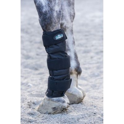 Image showing  Horse Ice Therapy Tendon Wrap