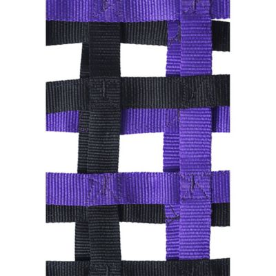 Image showing  Slow Feed Web Hay Feeder