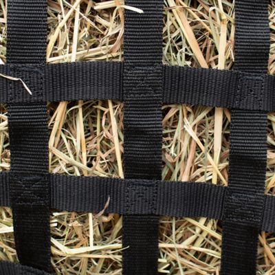 Image showing  Web Fence Feeder Slow Feed 2 in.