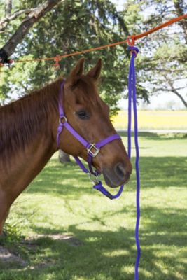 Image showing  Four Horse No-Knot Picket Line Kit
