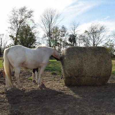 Tough1 Tough 1 Deluxe 6 ft. x 6 ft. Round Bale Slow Feed Hay Net