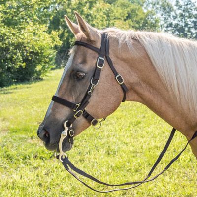 Image showing  Australian Outrider Collection Nylon Bridle/Halter Combination