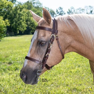 Image showing  Australian Outrider Collection Leather Bridle/ Halter Combination