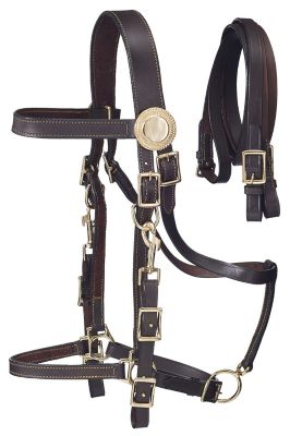 Product color Dark Oil