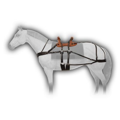 Image showing  Classic Sawback pk. Saddle