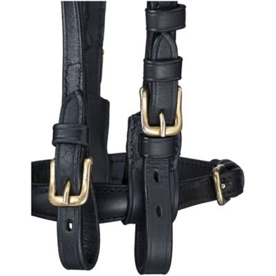 Image showing  Leather Replacement Bridle (Mini)