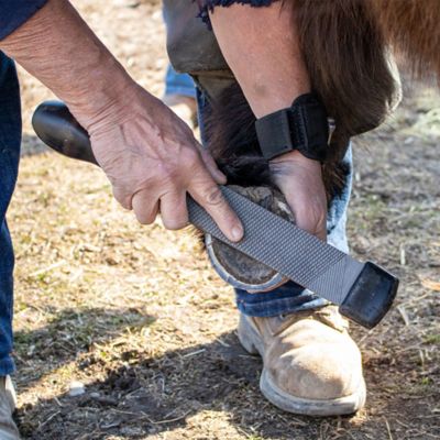 Image showing  Miniature Rasp with Handle and Tip Set, 79-339-0-0