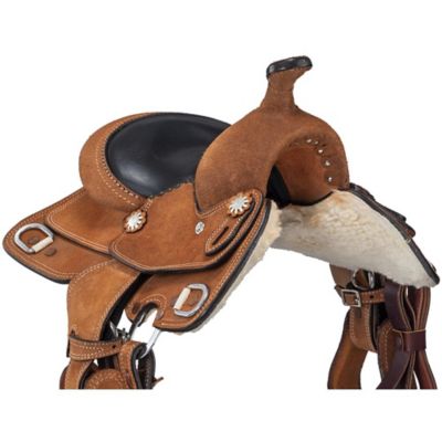 Image showing  8 in. Mini Trainer