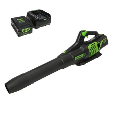 Greenworks 60V 170 MPH 700 CFM Brushless Cordless Battery Handheld Leaf Blower, Variable Speed, 5.0Ah Battery & Charger