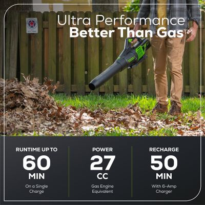 Image showing  170 MPH/700 CFM 60V Cordless Handheld Leaf Blower, Battery and Charger Included
