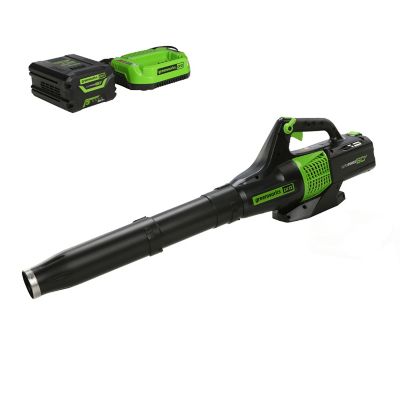 Greenworks 60V 125 MPH 450 CFM Cordless Battery Variable Speed Handheld Leaf Blower, 2.0 Ah Battery & Charger, 2414402