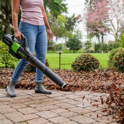 Image showing  125 MPH/450 CFM 60V Cordless Handheld Leaf Blower, Battery and Charger Included