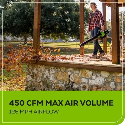 Image showing  125 MPH/450 CFM 60V Cordless Handheld Leaf Blower, Battery and Charger Included