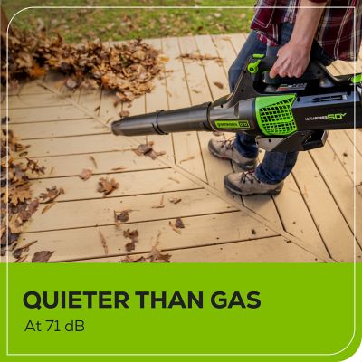 Image showing  125 MPH/450 CFM 60V Cordless Handheld Leaf Blower, Battery and Charger Included