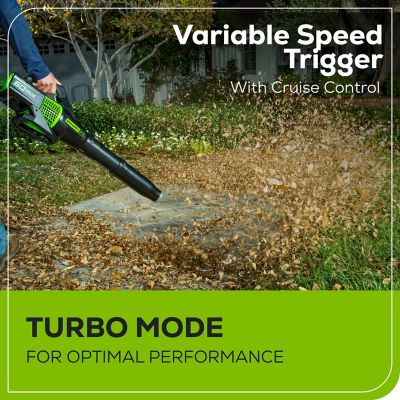 Image showing 5 th Greenworks 125 MPH/450 CFM 60V Cordless Handheld Leaf Blower, Battery and Charger Included