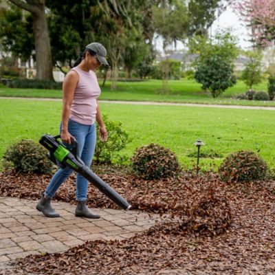 Image showing 6 th Greenworks 125 MPH/450 CFM 60V Cordless Handheld Leaf Blower, Battery and Charger Included