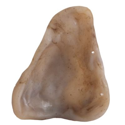 Image showing  Bacon Pig Ear Nylon Chew Dog Training Toy